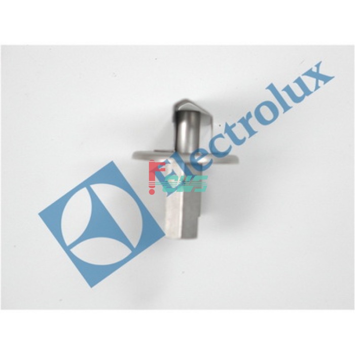 Electrolux 0C0199  苗火组件