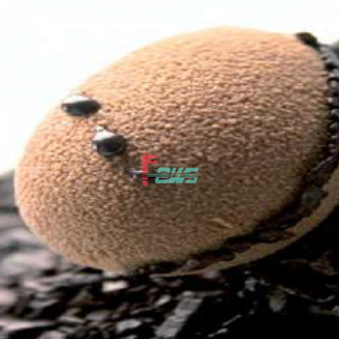 DEMARLE FP 1256 Mini-œufs (600*400mm)