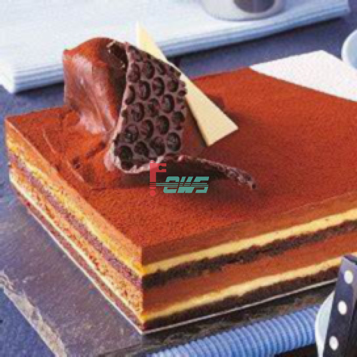 DEMARLE FT-03020 Entremets (300*200mm)